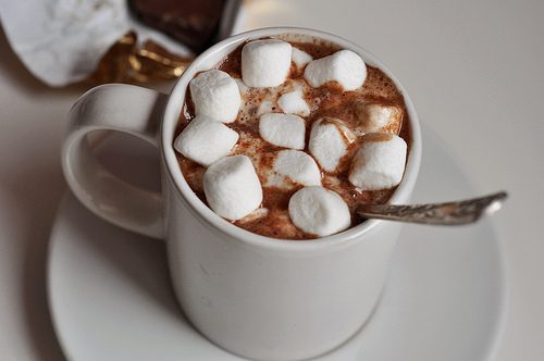 sử dụng cacao nóng với các loại bánh quy hoặc kẹo Marshmallow (kẹo xốp) thật sự là một lựa chọn không thể thiếu.